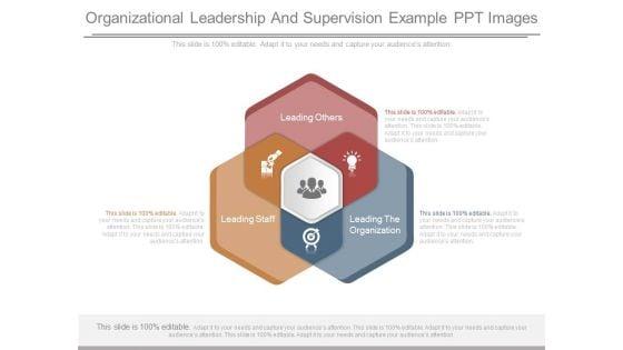 Organizational_Leadership_And_Supervision_Example_Ppt_Images_1.jpg