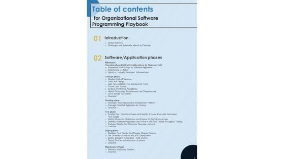 Organizational_Software_Programming_Playbook_Template_Slide_3.jpg