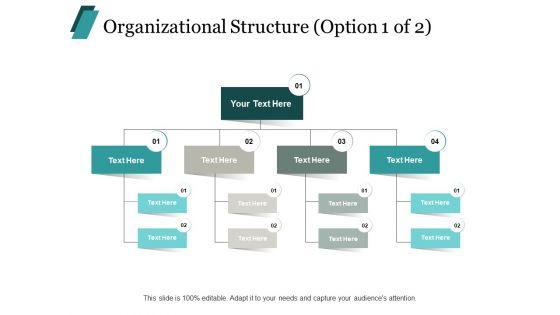 Organizational_Structure_Business_Ppt_PowerPoint_Presentation_Layouts_Format_Slide_1.jpg