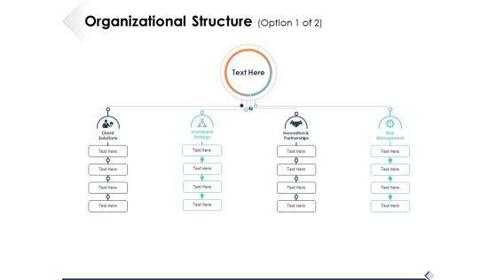 Organizational_Structure_Option_1_Of_2_Ppt_PowerPoint_Presentation_Pictures_Themes_Slide_1.jpg