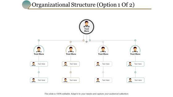 Organizational_Structure_Option_Management_Ppt_PowerPoint_Presentation_Portfolio_Themes_Slide_1.jpg
