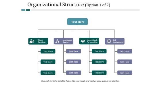 Organizational_Structure_Template_1_Ppt_PowerPoint_Presentation_Ideas_Graphic_Images_Slide_1.jpg