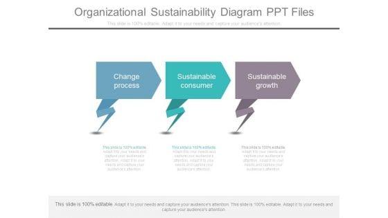Organizational_Sustainability_Diagram_Ppt_Files_1.jpg