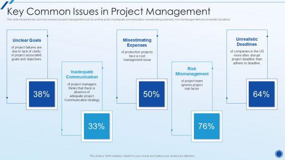 Organizing_Action_Plan_For_Successful_Project_Management_Key_Common_Issues_In_Project_Management_Graphics_PDF_Slide_1.jpg