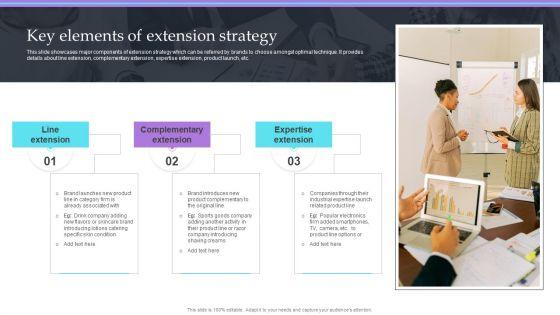 Overview_Of_Extension_Technique_Key_Elements_Of_Extension_Strategy_Icons_PDF_Slide_1.jpg