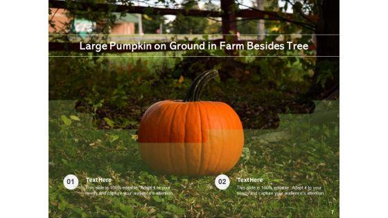 Pepo_Gourd_Pumpkins_Halloween_Festival_Ppt_PowerPoint_Presentation_Complete_Deck_Slide_7.jpg
