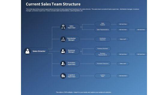Performance_Assessment_Sales_Initiative_Report_Current_Sales_Team_Structure_Ppt_Professional_Ideas_PDF_Slide_1.jpg