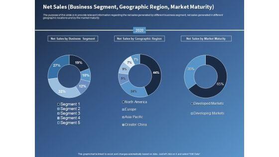 Performance_Assessment_Sales_Initiative_Report_Net_Sales_Business_Segment_Geographic_Region_Market_Maturity_Information_Slide_1.jpg