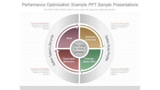 Performance_Optimization_Example_Ppt_Sample_Presentations_1.jpg