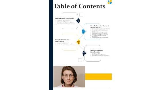 Pharmaceutical_Sales_Representatives_Strategy_Playbook_Template_Slide_3.jpg