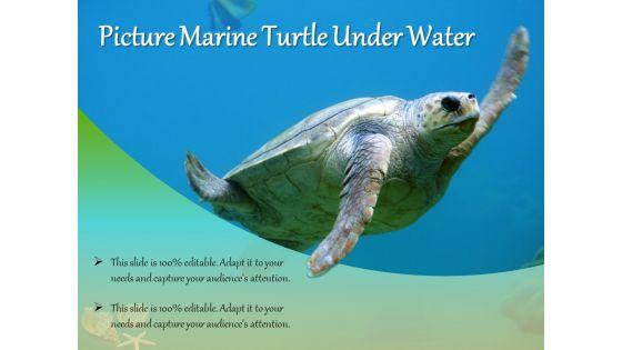 Picture_Marine_Turtle_Under_Water_Ppt_PowerPoint_Presentation_Infographics_Grid_PDF_Slide_1.jpg