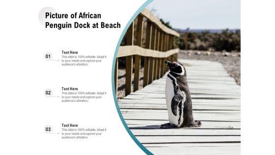 Picture_Of_African_Penguin_Dock_At_Beach_Ppt_PowerPoint_Presentation_Gallery_Layout_Ideas_PDF_Slide_1.jpg