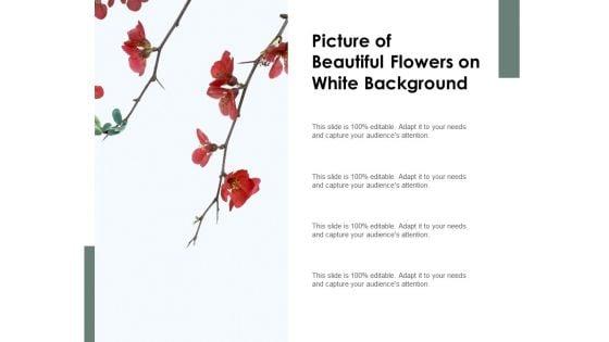 Picture_Of_Beautiful_Flowers_On_White_Background_Ppt_PowerPoint_Presentation_Inspiration_Example_Slide_1.jpg