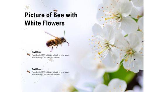 Picture_Of_Bee_With_White_Flowers_Ppt_PowerPoint_Presentation_Show_Smartart_PDF_Slide_1.jpg