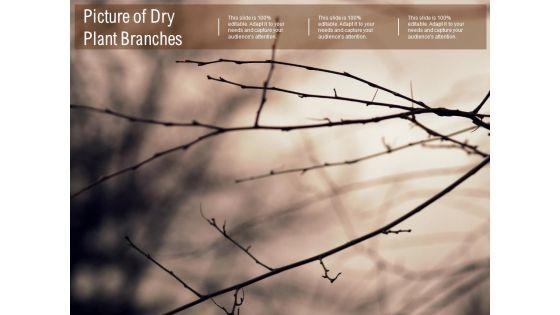 Picture_Of_Dry_Plant_Branches_Ppt_PowerPoint_Presentation_Inspiration_Tips_Slide_1.jpg