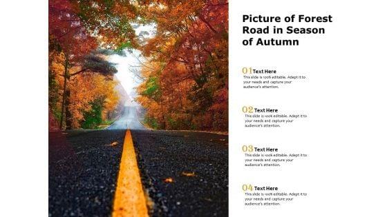 Picture_Of_Forest_Road_In_Season_Of_Autumn_Ppt_PowerPoint_Presentation_Infographic_Template_Show_PDF_Slide_1.jpg