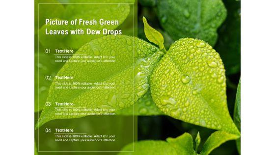 Picture_Of_Fresh_Green_Leaves_With_Dew_Drops_Ppt_PowerPoint_Presentation_Layouts_Deck_PDF_Slide_1.jpg