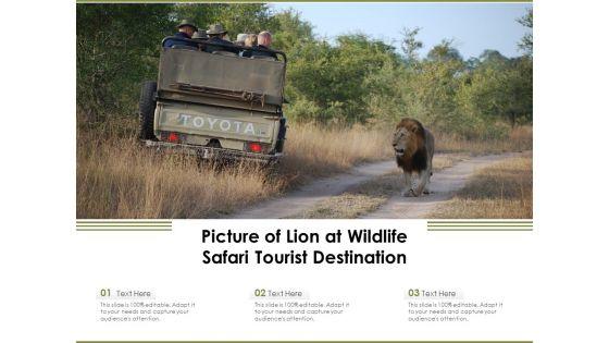Picture_Of_Lion_At_Wildlife_Safari_Tourist_Destination_Ppt_PowerPoint_Presentation_Model_Images_PDF_Slide_1.jpg