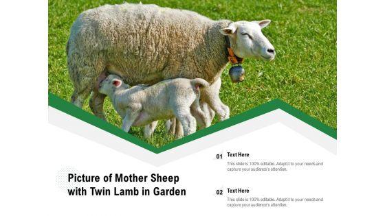 Picture_Of_Mother_Sheep_With_Twin_Lamb_In_Garden_Ppt_PowerPoint_Presentation_Gallery_Skills_PDF_Slide_1.jpg