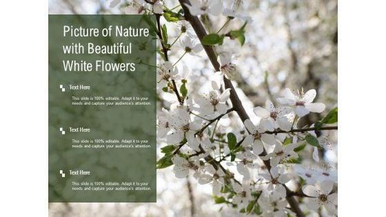 Picture_Of_Nature_With_Beautiful_White_Flowers_Ppt_PowerPoint_Presentation_Styles_Graphics_Template_Slide_1.jpg