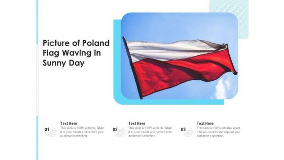 Picture_Of_Poland_Flag_Waving_In_Sunny_Day_Ppt_PowerPoint_Presentation_Infographic_Template_Slideshow_PDF_Slide_1.jpg