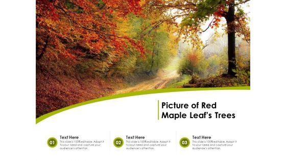 Picture_Of_Red_Maple_Leafs_Trees_Ppt_PowerPoint_Presentation_Icon_Infographics_PDF_Slide_1.jpg
