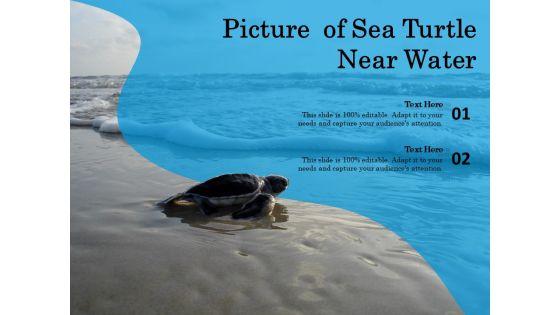 Picture_Of_Sea_Turtle_Near_Water_Ppt_PowerPoint_Presentation_Gallery_Master_Slide_PDF_Slide_1.jpg