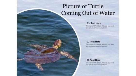 Picture_Of_Turtle_Coming_Out_Of_Water_Ppt_PowerPoint_Presentation_Layouts_Design_Templates_PDF_Slide_1.jpg
