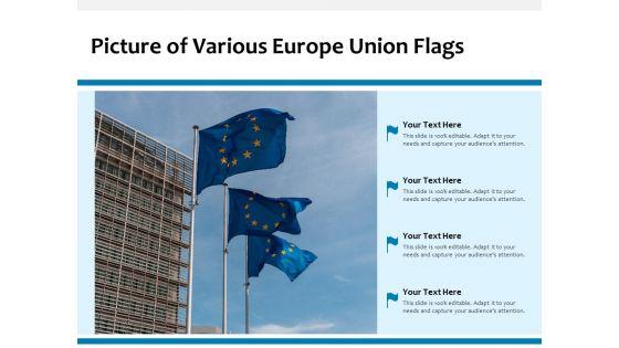 Picture_Of_Various_Europe_Union_Flags_Ppt_PowerPoint_Presentation_Ideas_Outfit_PDF_Slide_1.jpg