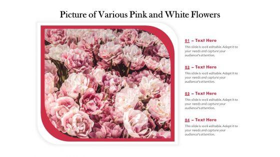 Picture_Of_Various_Pink_And_White_Flowers_Ppt_PowerPoint_Presentation_Icon_PDF_Slide_1.jpg