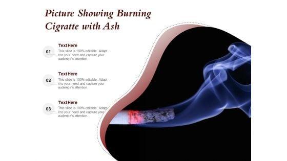 Picture_Showing_Burning_Cigratte_With_Ash_Ppt_PowerPoint_Presentation_Icon_Ideas_PDF_Slide_1.jpg