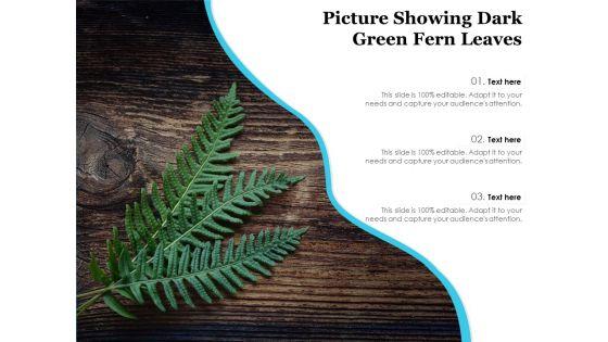 Picture_Showing_Dark_Green_Fern_Leaves_Ppt_PowerPoint_Presentation_Slides_Infographic_Template_PDF_Slide_1.jpg