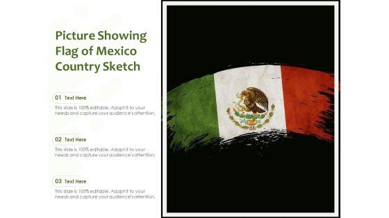 Picture_Showing_Flag_Of_Mexico_Country_Sketch_Ppt_PowerPoint_Presentation_Portfolio_Influencers_PDF_Slide_1.jpg