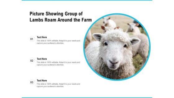 Picture_Showing_Group_Of_Lambs_Roam_Around_The_Farm_Ppt_PowerPoint_Presentation_Gallery_File_Formats_PDF_Slide_1.jpg