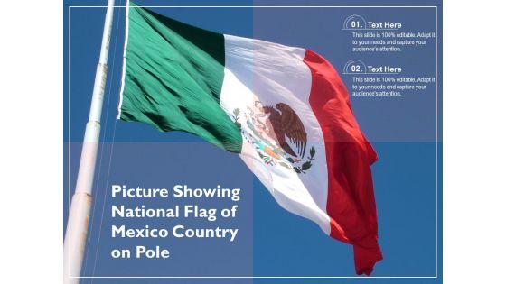 Picture_Showing_National_Flag_Of_Mexico_Country_On_Pole_Ppt_PowerPoint_Presentation_Styles_Picture_PDF_Slide_1.jpg