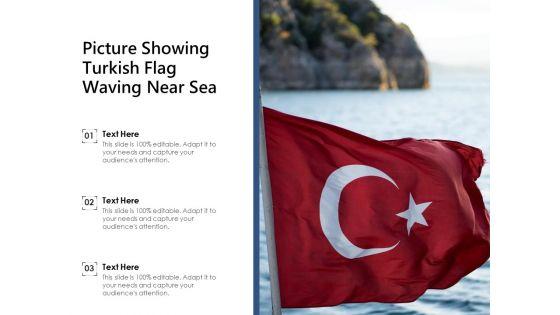 Picture_Showing_Turkish_Flag_Waving_Near_Sea_Ppt_PowerPoint_Presentation_File_Rules_PDF_Slide_1.jpg