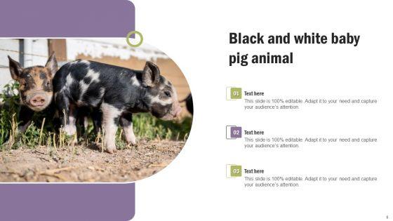 Pig_Pictures_Animal_Ppt_PowerPoint_Presentation_Complete_Deck_With_Slides_Slide_6.jpg