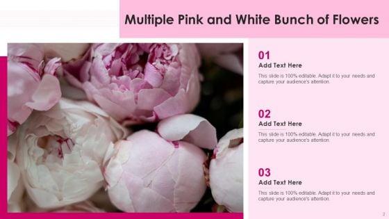 Pink_Color_Ppt_PowerPoint_Presentation_Complete_Deck_With_Slides_Slide_2.jpg