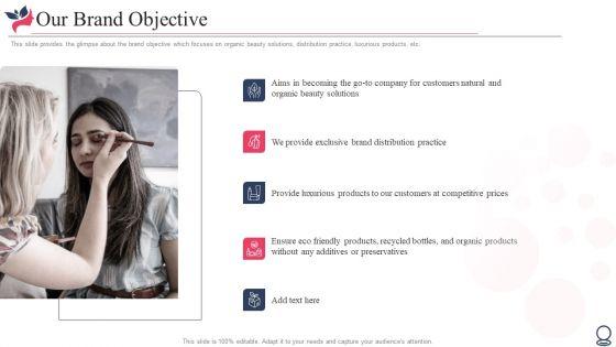 Pitch_Deck_For_Beauty_Assistance_Investor_Financing_Elevator_Our_Brand_Objective_Mockup_PDF_Slide_1.jpg