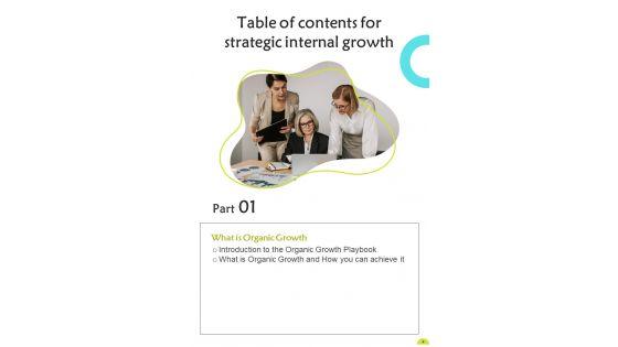 Playbook_For_Strategic_Internal_Growth_Template_Slide_4.jpg