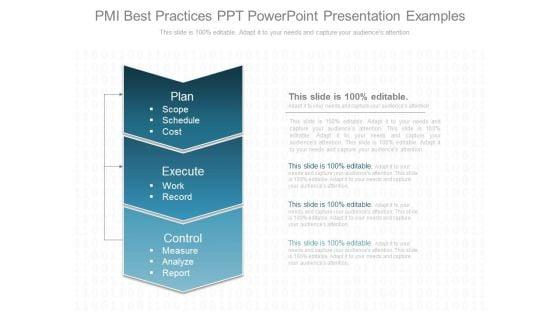Pmi_Best_Practices_Ppt_Powerpoint_Presentation_Examples_1.jpg