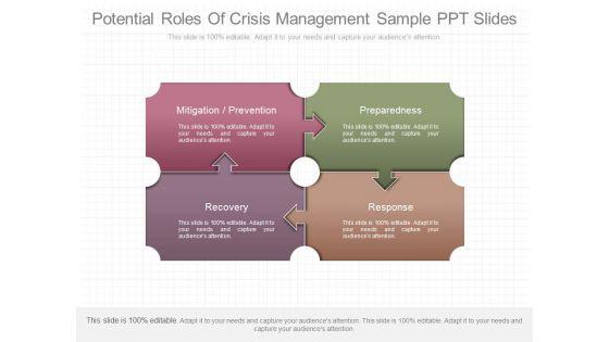 Potential_Roles_Of_Crisis_Management_Sample_Ppt_Slides_1.jpg