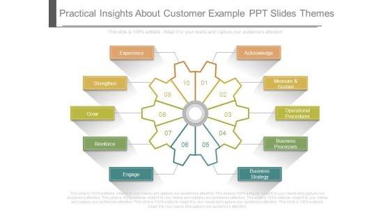Practical_Insights_About_Customer_Example_Ppt_Slides_Themes_1.jpg