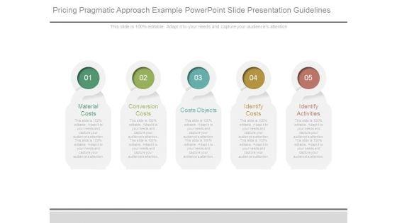 Pricing_Pragmatic_Approach_Example_Powerpoint_Slide_Presentation_Guidelines_1.jpg