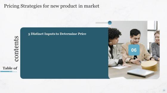 Pricing_Strategies_For_New_Product_In_Market_Ppt_PowerPoint_Presentation_Complete_Deck_With_Slides_Slide_29.jpg