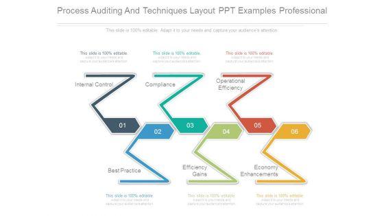 Process_Auditing_And_Techniques_Layout_Ppt_Examples_Professional_1.jpg