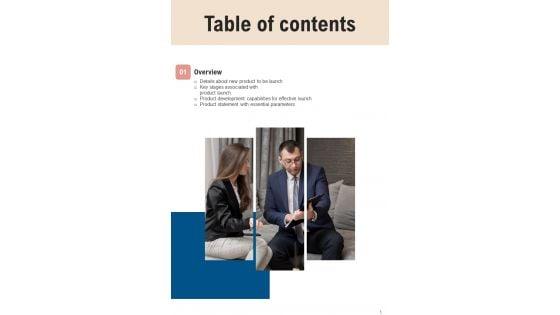 Product_Launch_Management_Playbook_Template_Slide_5.jpg