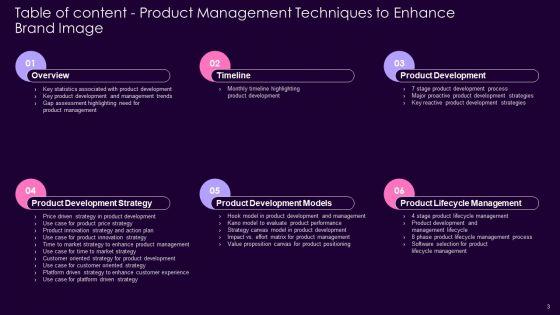 Product_Management_Techniques_To_Enhance_Brand_Image_Ppt_PowerPoint_Presentation_Complete_Deck_With_Slides_Slide_3.jpg