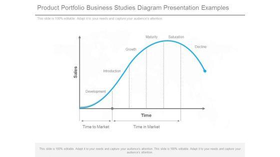 Product_Portfolio_Business_Studies_Diagram_Presentation_Examples_1.jpg