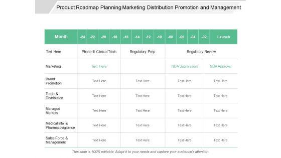 Product_Roadmap_Planning_Marketing_Distribution_Promotion_And_Management_Ppt_PowerPoint_Presentation_Summary_Tips_Slide_1.jpg